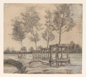 Prairie avec arbres - Coba Steenhoff