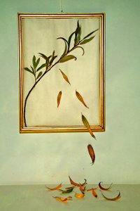  - Codruta Georgescu