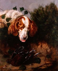Juste Abattu - Épagneul avec un Tétras Mort - Colin Graeme