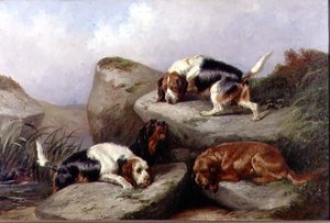 Chiens de loutre, 1889