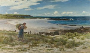 Les sables de White Hills