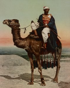 Un bédouin, Le Caire, Égypte