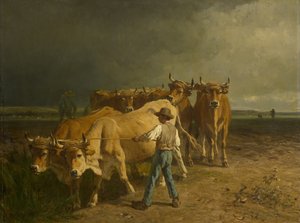 Labourage des bœufs, 1860