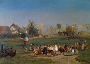 Le nourrissage des poules