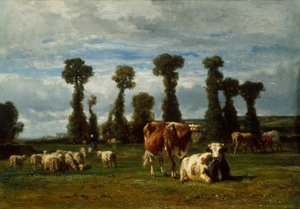 Pâturage en Normandie