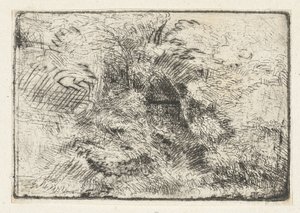 Paysage forestier avec cabane entre les arbres