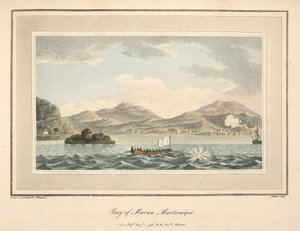 Baie de Maran, Martinique, illustration de 