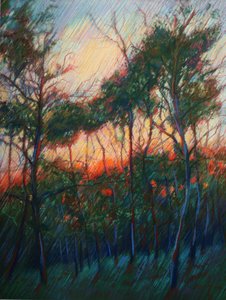 Lueur du coucher de soleil dans la forêt - Corné Akkers