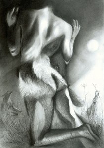 La métamorphose du blaireau au clair de lune