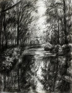Sentier forestier sinueux