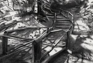 Escalier en colimaçon dans la forêt