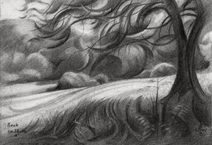 Le sentier sinueux des arbres