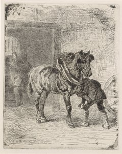 Cheval ferré dans une forge - Cornelis Albertus Johannes Schermer