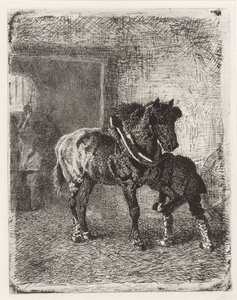 Cheval ferré dans une forge - Cornelis Albertus Johannes Schermer