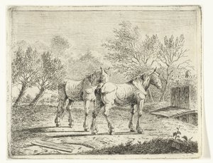 Paysage de prairie avec deux chevaux près d