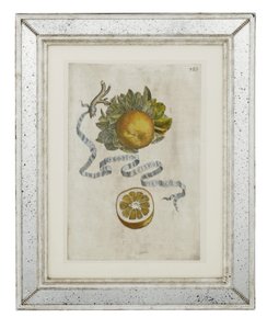 Feuille d