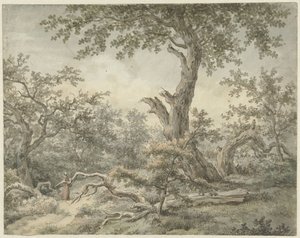 Paysage forestier - Cornelis Buys