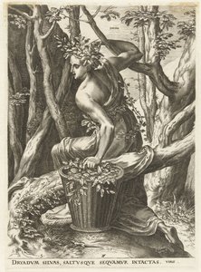 Dryas - Cornelis Cort