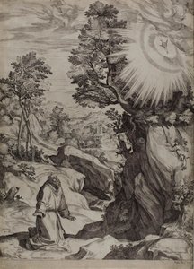 Saint François pénitent dans un grand paysage - Cornelis Cort