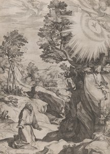 Saint François pénitent dans le désert - Cornelis Cort