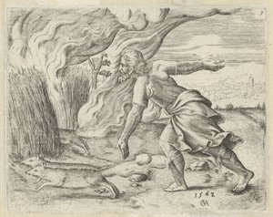 Samson met le feu aux champs de blé des Philistins (Geschiedenis van Simson) - Cornelis Massijs