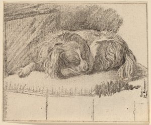 Chien couché
