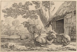 Bergerie