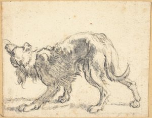 Un chien