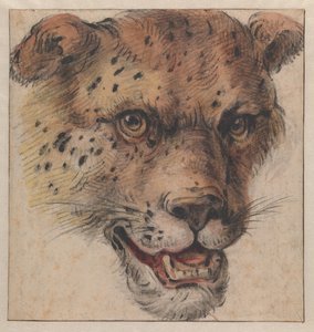 La tête d