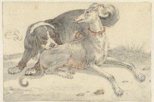 Lévrier et chien de perdrix