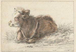 Veau couché, vers la gauche - Cornelis Saftleven