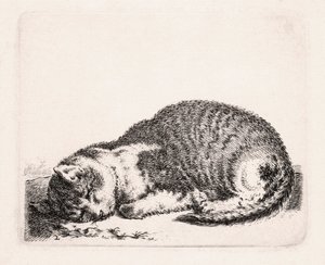 Chat dormant, vers 1607-81