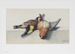 Nature morte avec deux oiseaux morts
