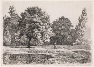 Paysage avec arbres, lac et femme (Cinquième suite)
