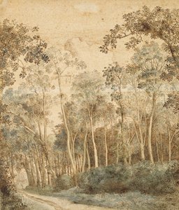 Paysage boisé - Hendrick Cornelisz. Vroom