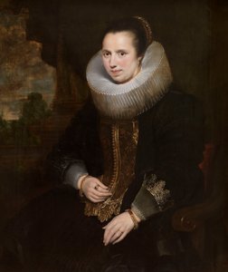  - Cornelis de Vos
