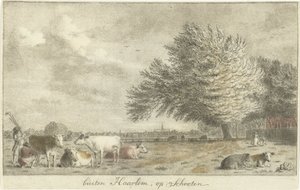 Vaches dans un pré