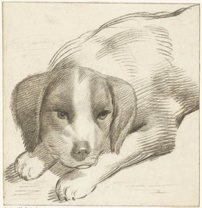 Chien couché