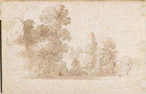 Paysage boisé