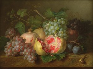 Nature morte de grenades, raisins et prunes sur une corniche en marbre (panneau)