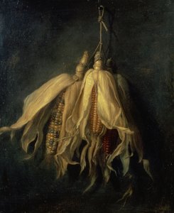 Trois épis de maïs suspendus à un clou