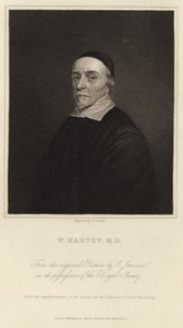 William Harvey - Cornelius Janssen van Ceulen