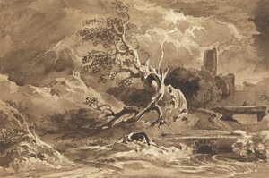 Un arbre frappé par la foudre