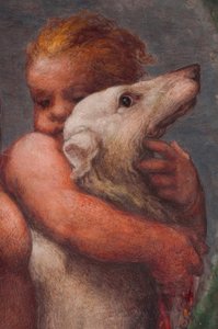 Parme, Camera di S. Paolo, Putto
