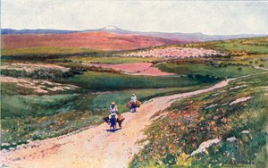 Cana depuis la route de Nazareth