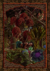 Le jardin fantastique de la femme endormie