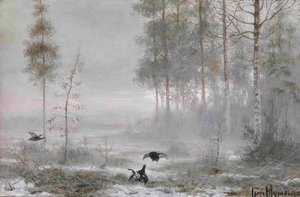 Matin dans la forêt
