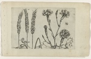 Blé et œillet - Crispijn van de Passe (I) (attributed to)