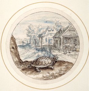 Tortue, début du XVIIe siècle