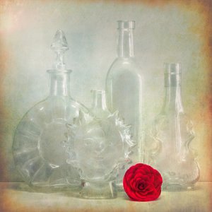 Bouteilles vintage « Red Flower »
